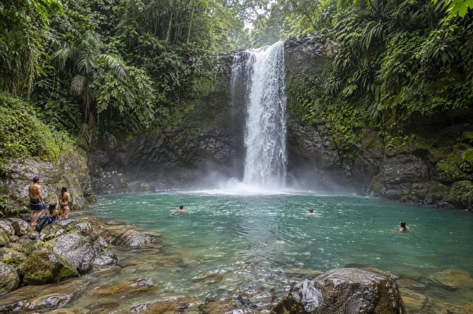 Cascada de una sola caída sobre una poza en la selva alta