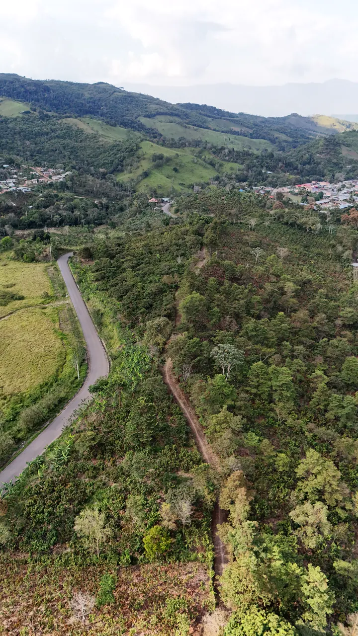 Vista aérea de los pastos y el monte alrededor del terreno